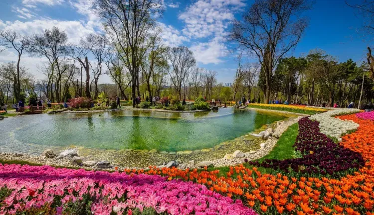 Kaman Japon Bahçesi Genel Görünüm