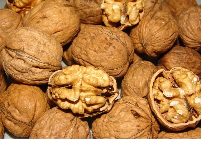 Meşhur Kaman Cevizi Festivali